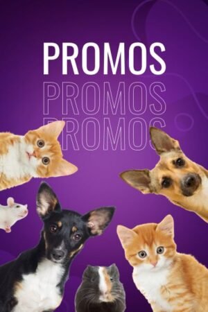 PROMOS