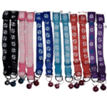 collier pour chat